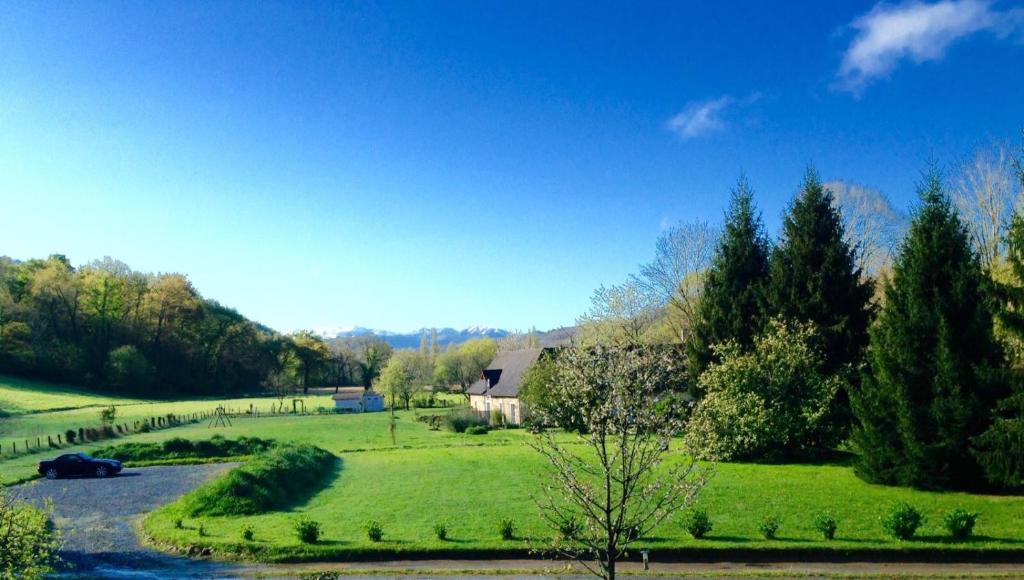 ein grünes Feld mit einem Haus und einem Fluss in der Unterkunft Gite-Holiday Home Au Moulin 1771 in Monein