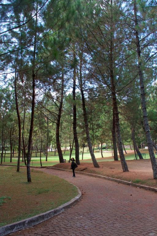 Zahrada ubytování Puteri Gunung Hotel