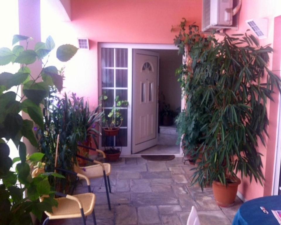 Zahrada ubytování Friendly Family House