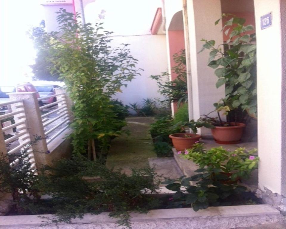 Zahrada ubytování Friendly Family House