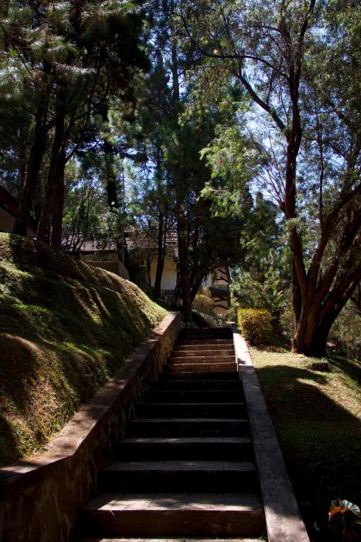 Zahrada ubytování Puteri Gunung Hotel