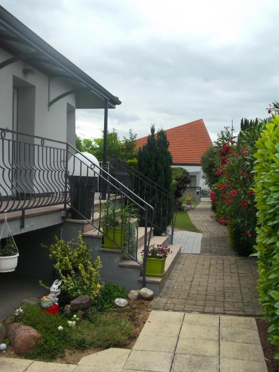 Eguisheim village préféré des français grand studio – photo 12