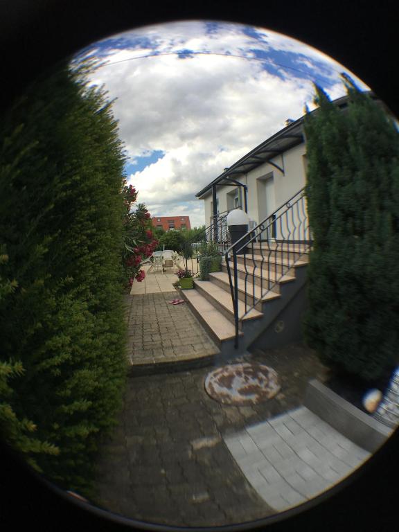 Eguisheim village préféré des français grand studio – photo 15