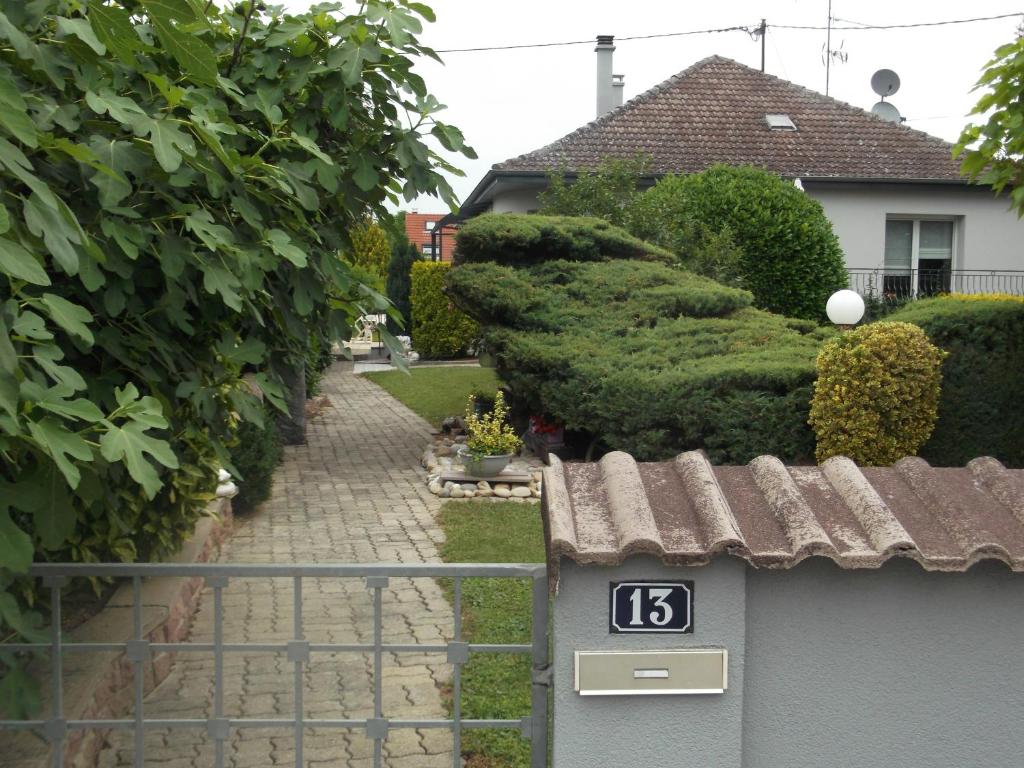 Eguisheim village préféré des français grand studio – photo 16