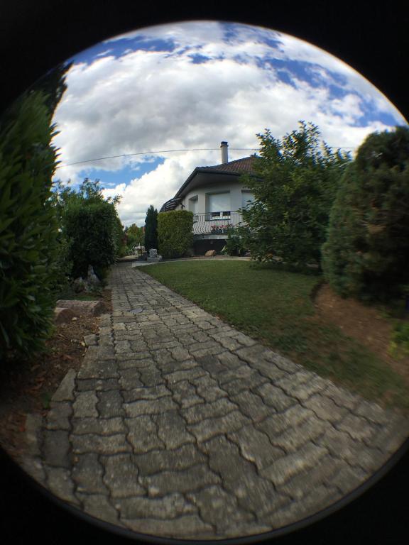 Eguisheim village préféré des français grand studio – photo 19