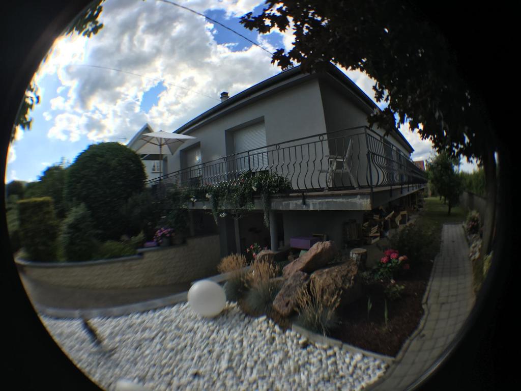 Eguisheim village préféré des français grand studio – photo 22