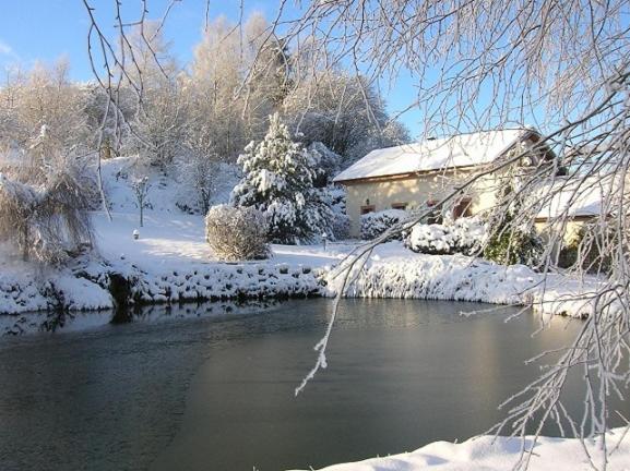 Saint-NabordにあるGite Le Paradisの雪に覆われた庭