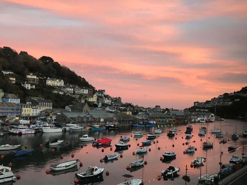 a group of boats in a marina at sunset at Shellseekers Guest House in Looe