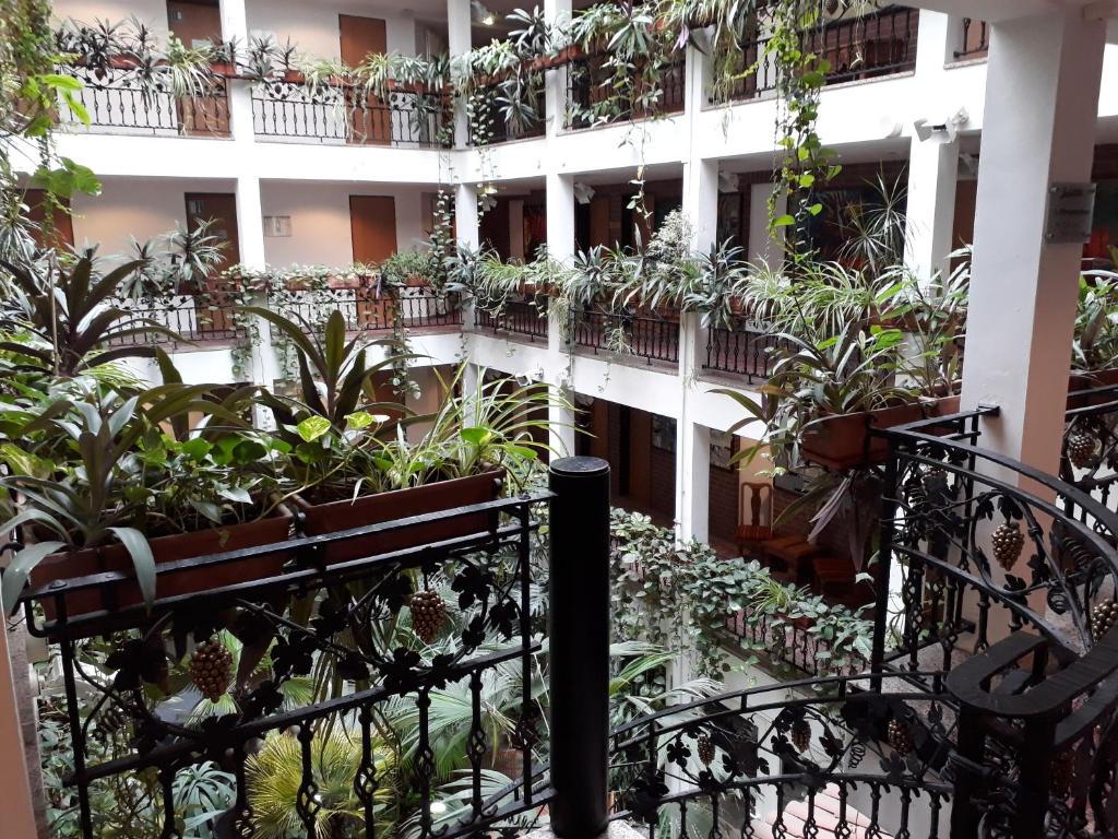 Solitaire Hotel - Resim 15