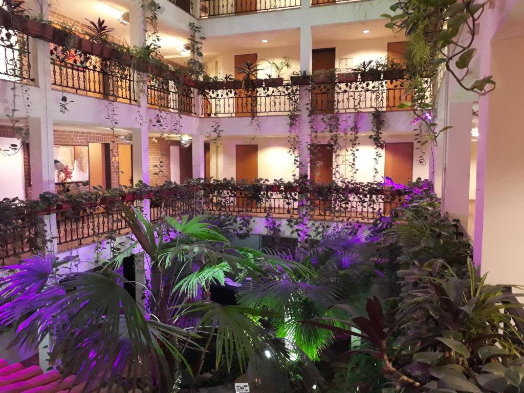 um edifício com um monte de plantas e flores roxas em Solitaire Hotel em Berlim