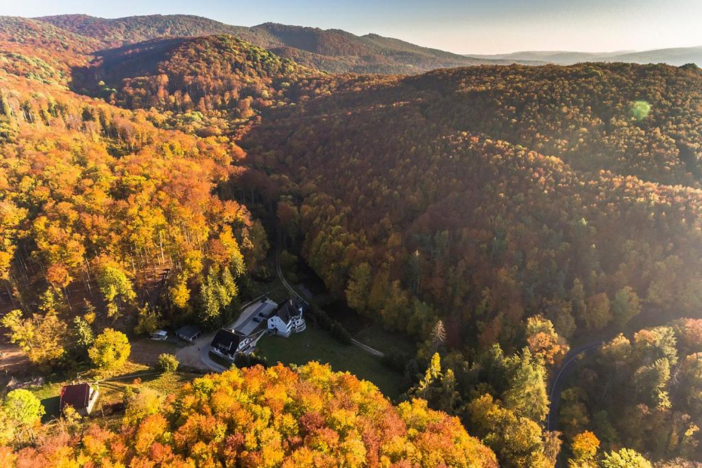 een luchtzicht op een bos in de herfst bij Pénzpataki Vadászház in Répáshuta