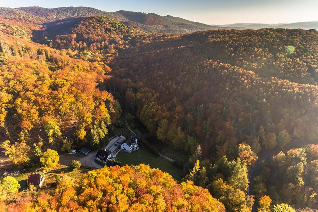 an aerial view of a forest in the fall at Pénzpataki Vadászház in Répáshuta