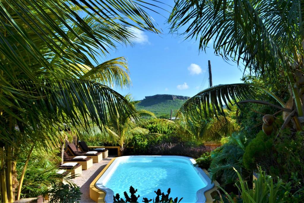 een zwembad in een tuin met palmbomen bij Jan Kok Lodges in Willibrordus