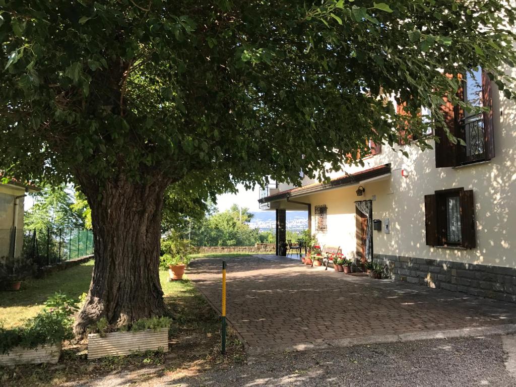 ein Baum vor einem Gebäude mit Auffahrt in der Unterkunft La casa di nonna Bruna in Muggia