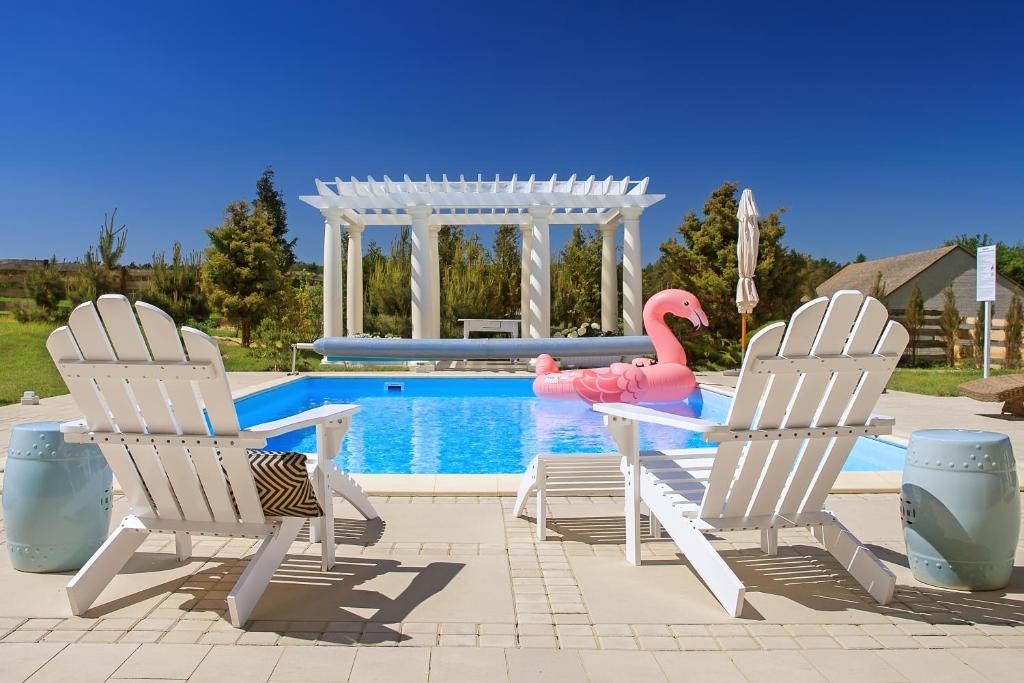 two chairs and a pink flamingo in a pool at Rezydencja Miętowe Wzgórza Mansion House in Zakroczym