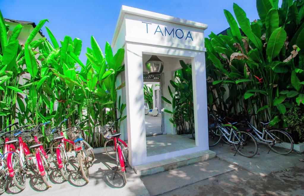Jízda na kole v ubytování Tamoa Boutique Hotel nebo okolí