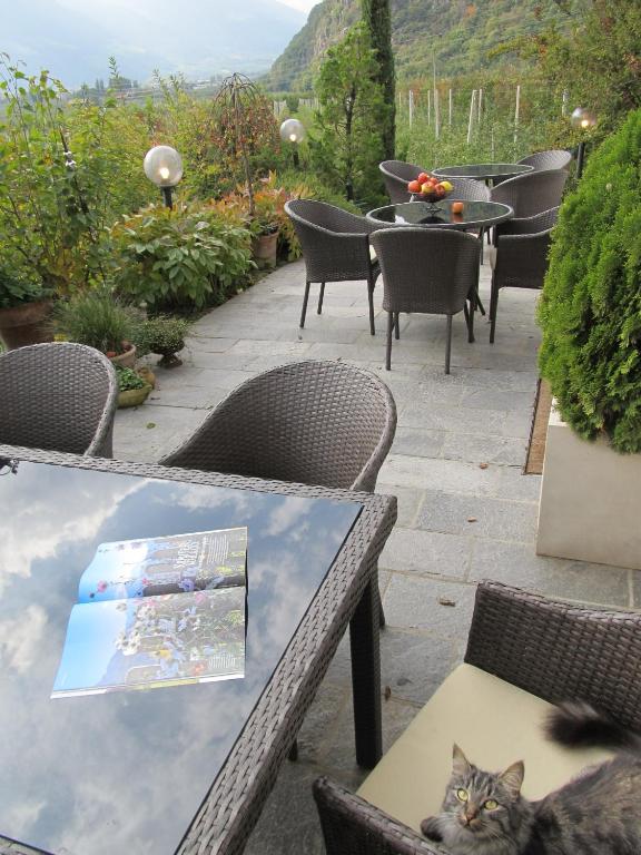 Nespecifikovaný výhled na hory nebo výhled na hory při pohledu z bed and breakfast