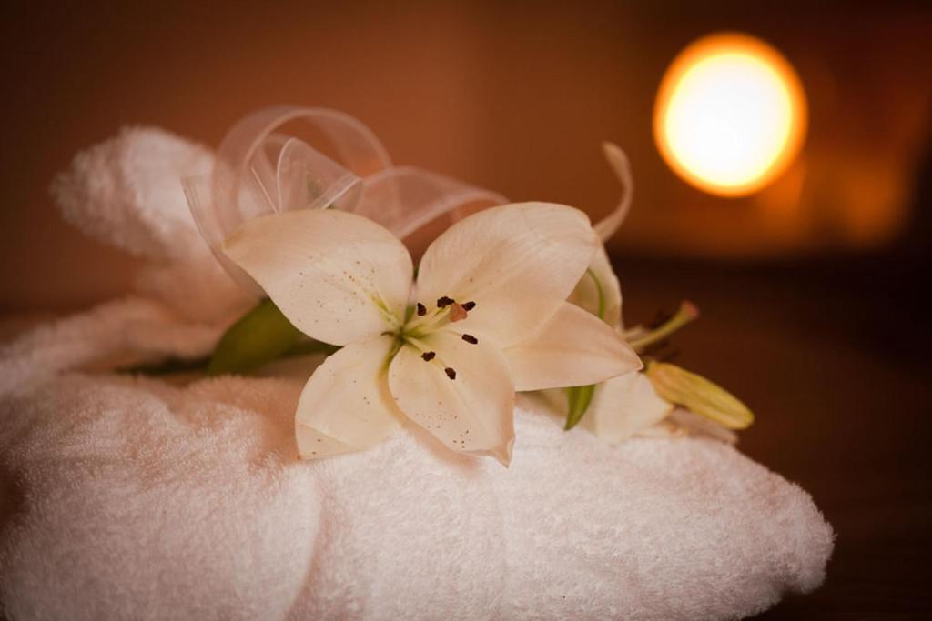 Wellness Hotel Zlatá Lípa - 5