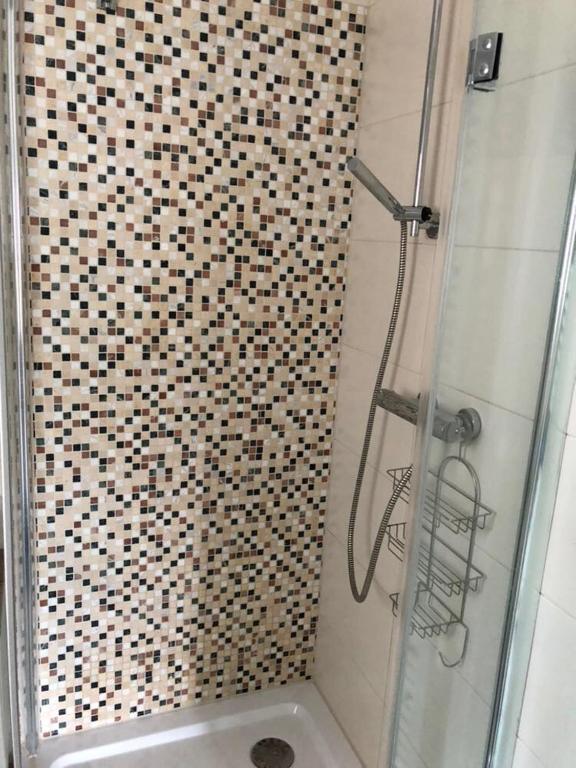 a bathroom with a shower with a sink and a toilet at Nordsee-Lilie in Wilhelmshaven