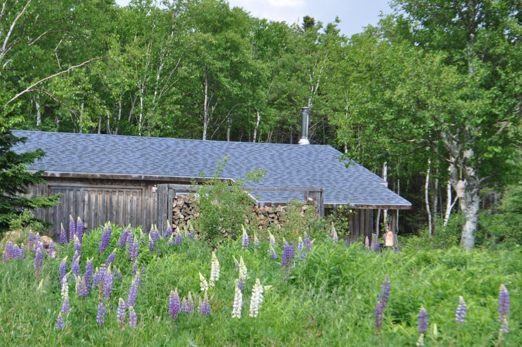 Zahrada ubytování The Sleeping Moose Cottage