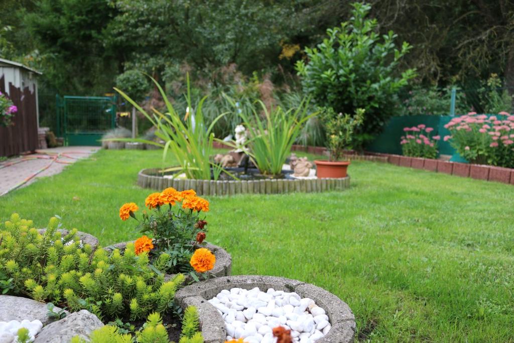 einen Garten mit Blumen und Pflanzen im Hof in der Unterkunft Meublé Celtic in Niederbronn-les-Bains