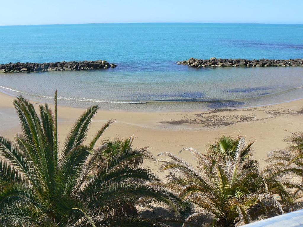 a view of a beach with palm trees and the ocean at Central Palace Malfà in Scoglitti