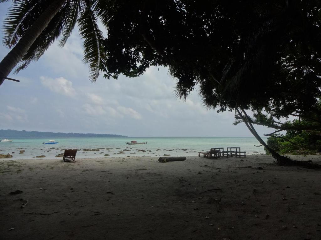 einen Strand mit Stühlen und dem Meer und einer Palme in der Unterkunft Gold India Beach Resort in Havelock Island