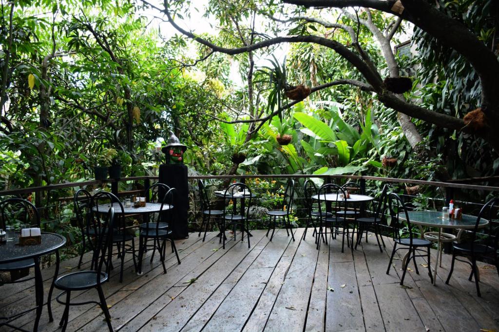 a person standing on a deck with tables and chairs at Hotel Aranjuez in San José