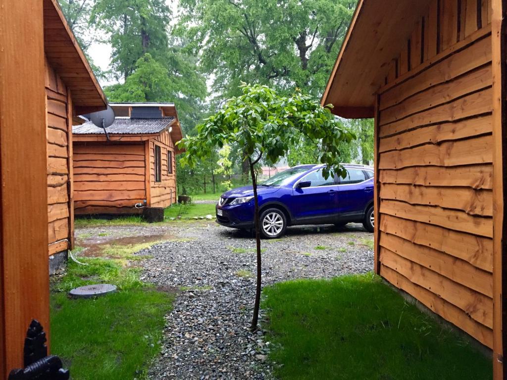 Zahrada ubytování Cabañas Peumayén Neltume