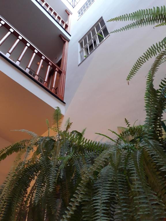 Fotografie z fotogalerie ubytování Pension Doña Trinidad v destinaci Seville