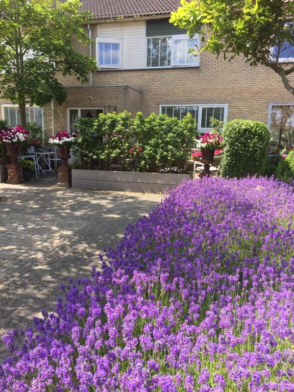 Zahrada ubytování B&B De Koog Texel