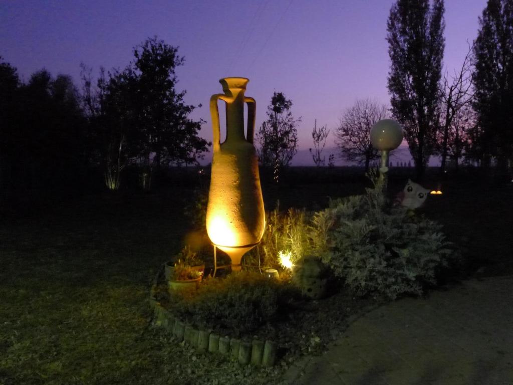 Κήπος έξω από το B&B Via Punta 8