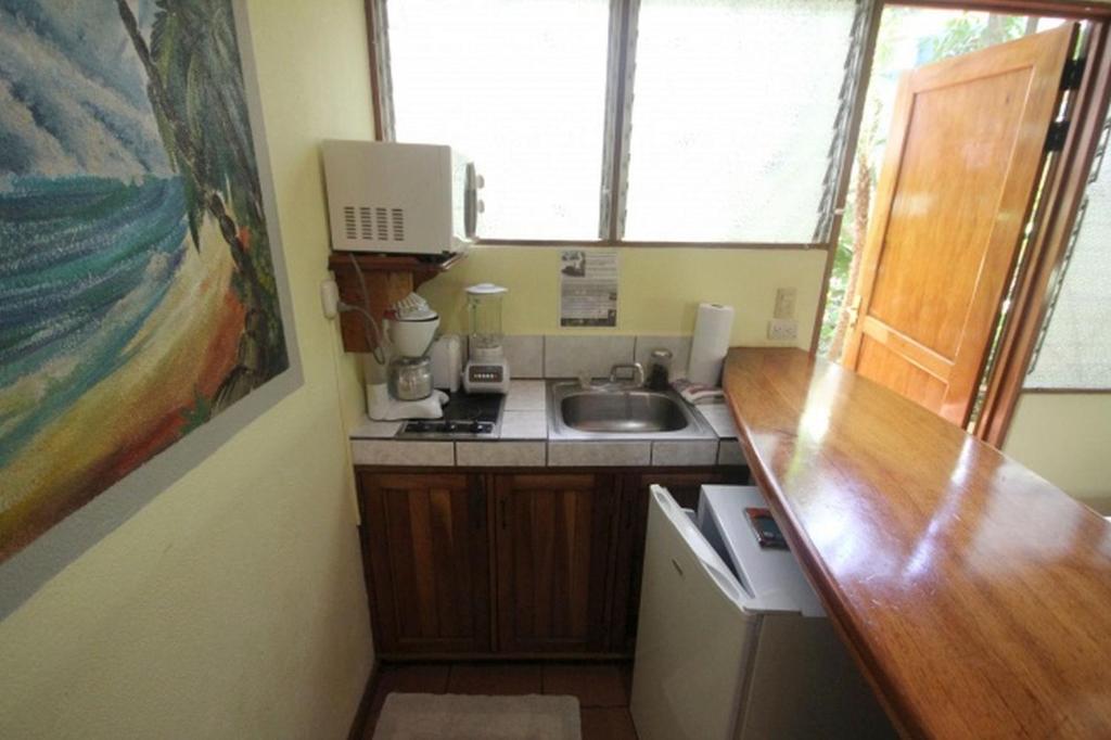 Kuchyň nebo kuchyňský kout v ubytování Nosara Paradise Rentals