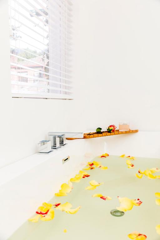 Fotografie z fotogalerie ubytování Casa Legado v destinaci Bogotá