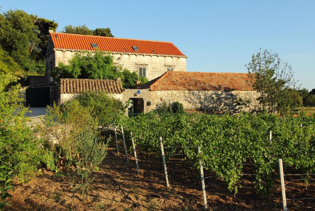 an old building with a bunch of vines in front at Villa Violić in Zaton