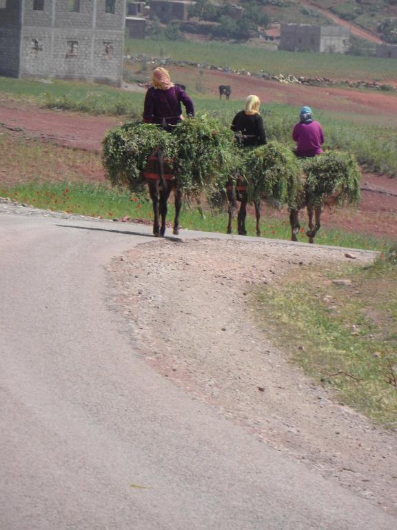 Ospiti di Gite Tigmi Azrur