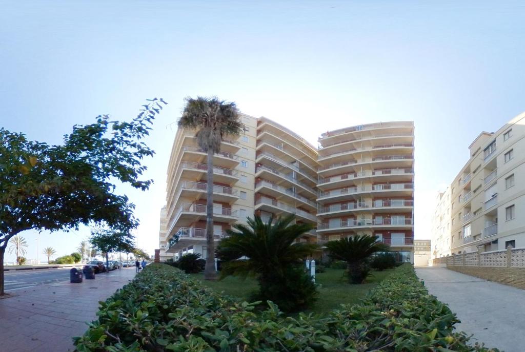 a large apartment building with palm trees in front of it at Preciosos Apartamentos Caracola EN LA PRIMERA LINEA DE LA PLAYA DE GANDIA in Gandía