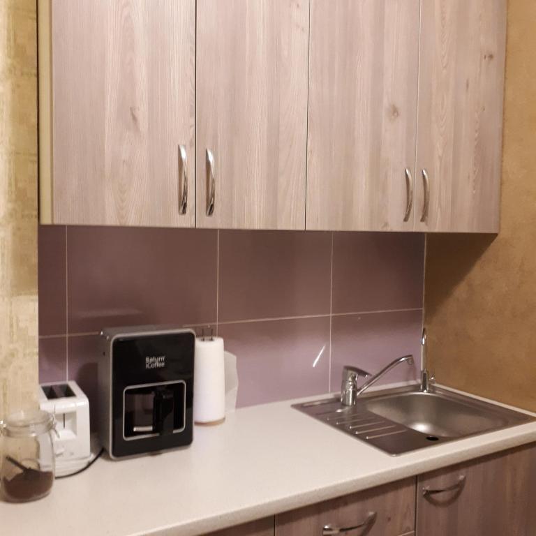 Kuchyň nebo kuchyňský kout v ubytování The apartments