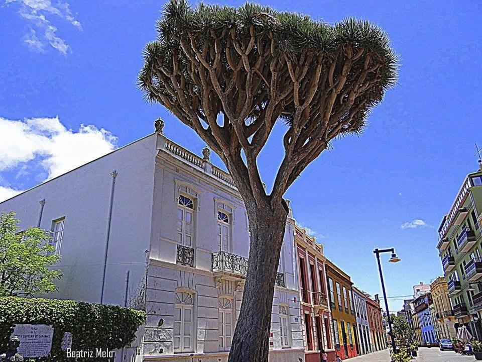 The surrounding neighborhood or a neighborhood close to Az apartmant