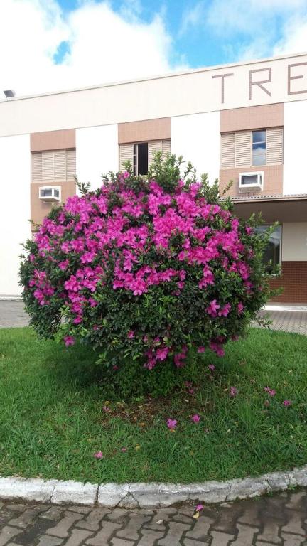  Trevo Parque Hotel