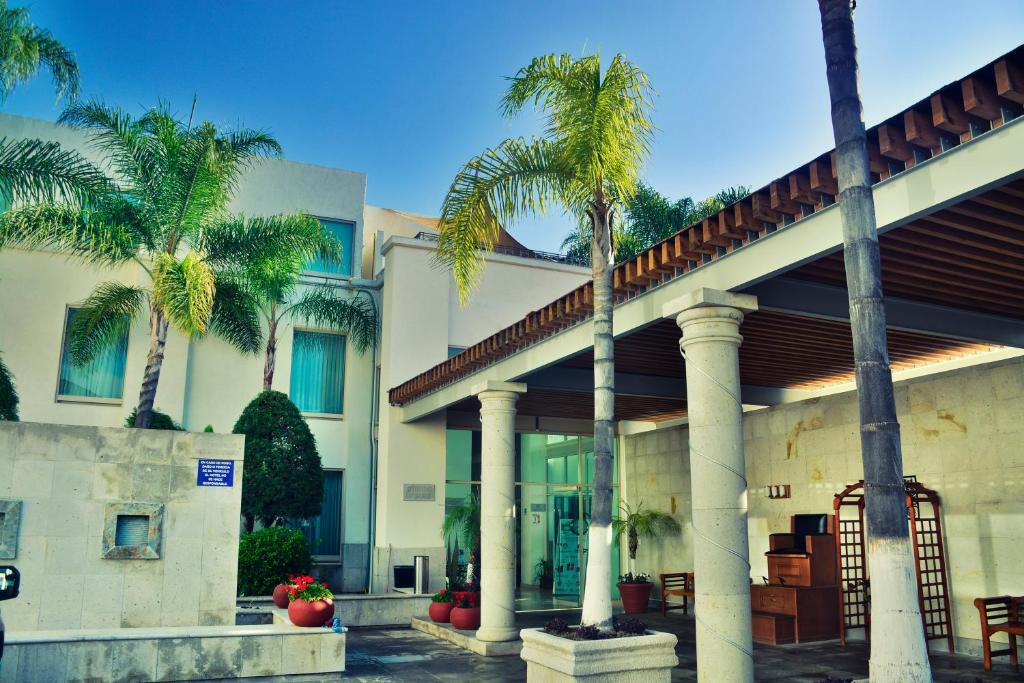 特基斯基亞潘的住宿－Hotel San Carlos Tequisquiapan，一座棕榈树建筑