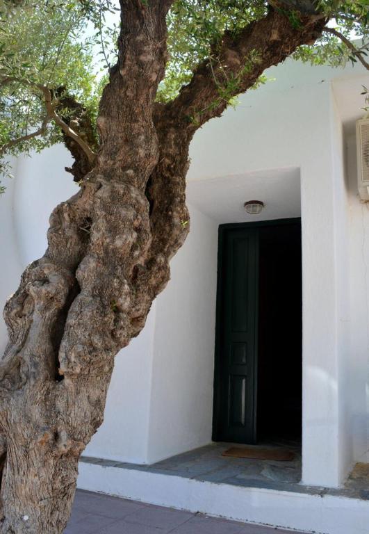 Fotografie z fotogalerie ubytování Regina v destinaci Kalo Chorio