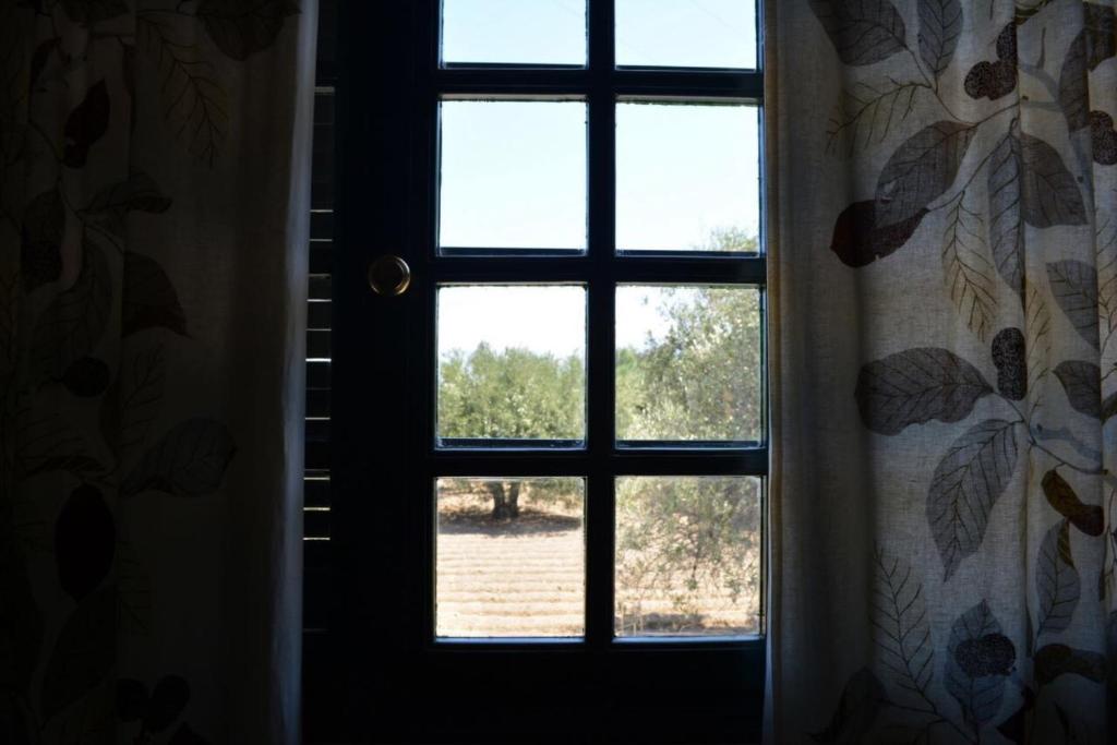 Fotografie z fotogalerie ubytování Regina v destinaci Kalo Chorio