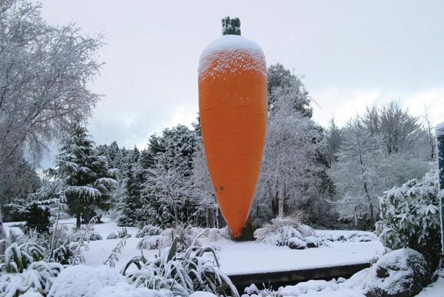 uma cenoura laranja num jardim coberto de neve em Dakune Chalet em Ohakune