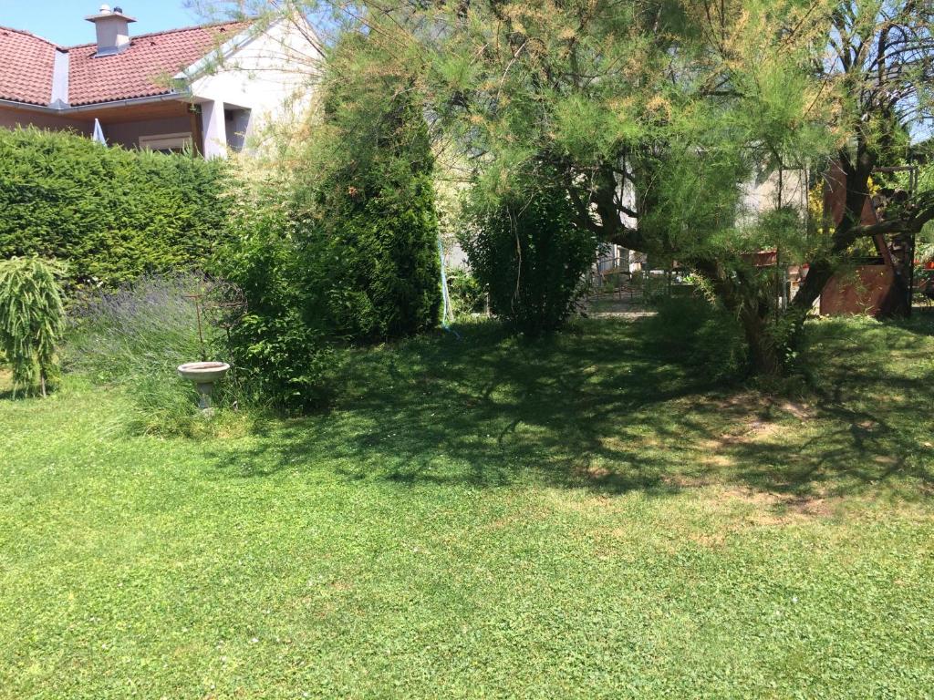 A garden outside Appartements-Ella