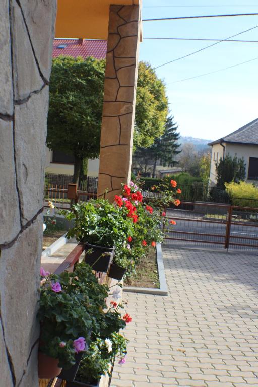 Zahrada ubytování Altan Apartments
