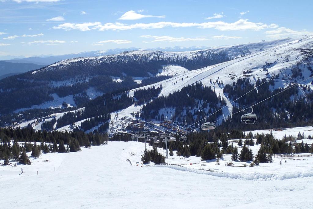 Veselý Svišť Chalet Lachtal v zimě
