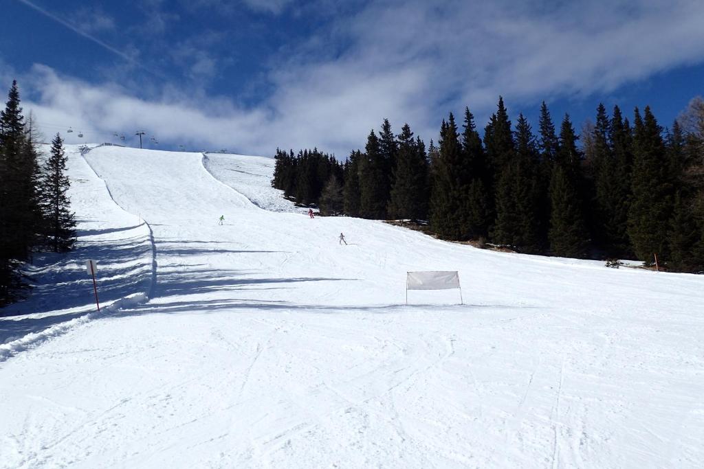 Veselý Svišť Chalet Lachtal v zimě