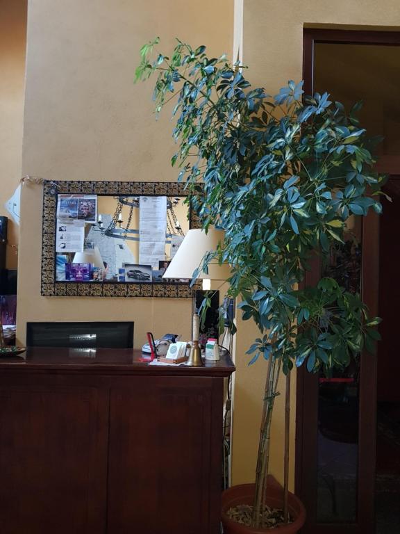 Hosté ubytování Hotel Damian Park Hotel Delle Magnolie