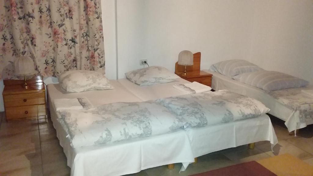 Postel nebo postele na pokoji v ubytování Casa Altius Felix